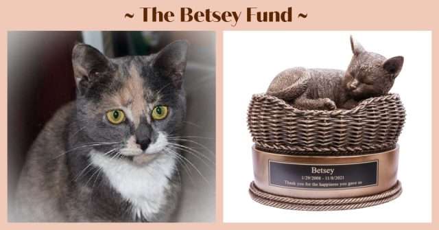 Betsey Fund FuRRR Feline Rescue