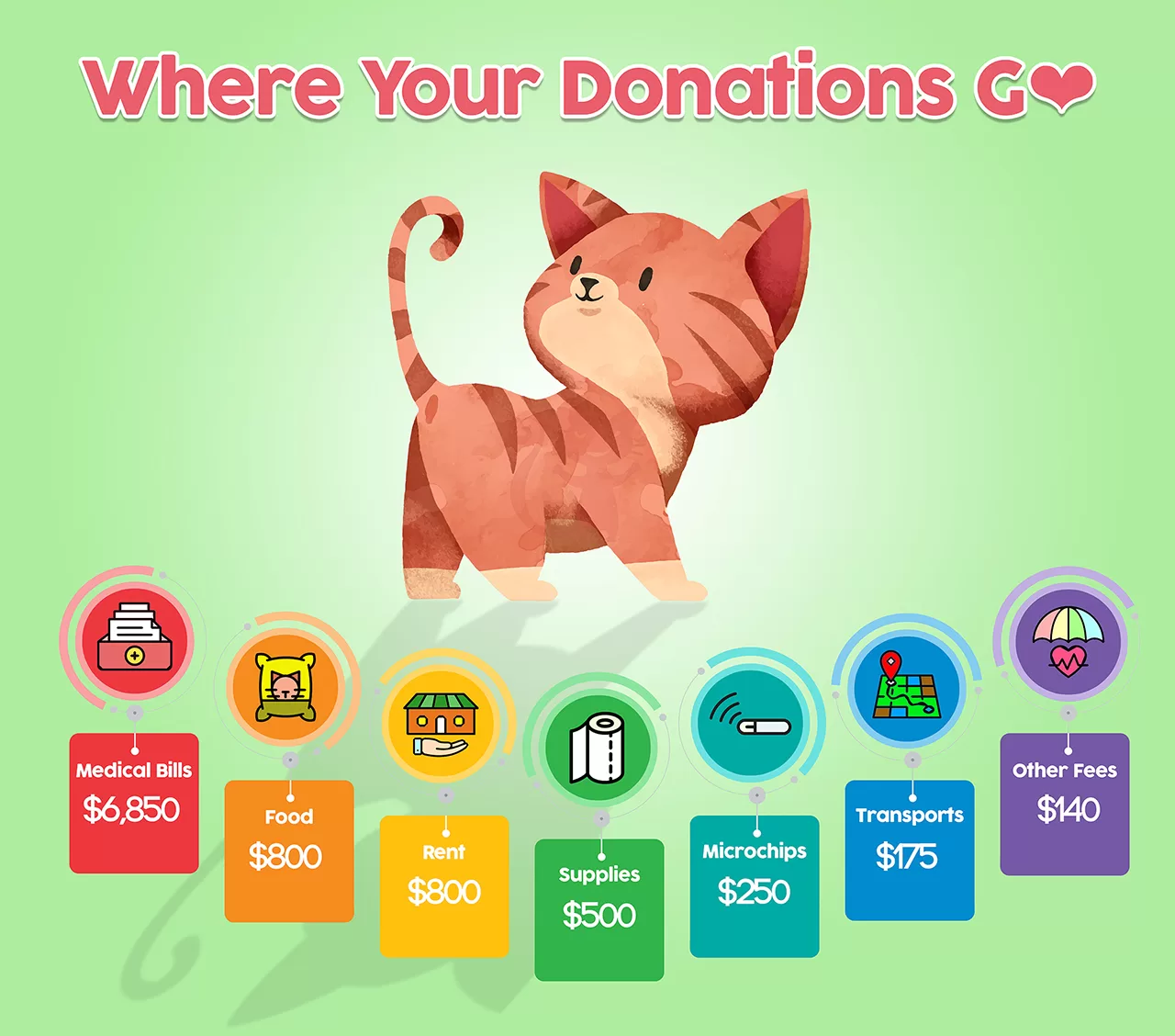 FuRRR Where Your Donations Go for Cats