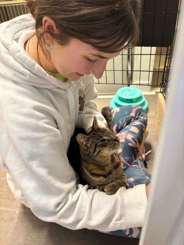 Cat Rescue Volunteer