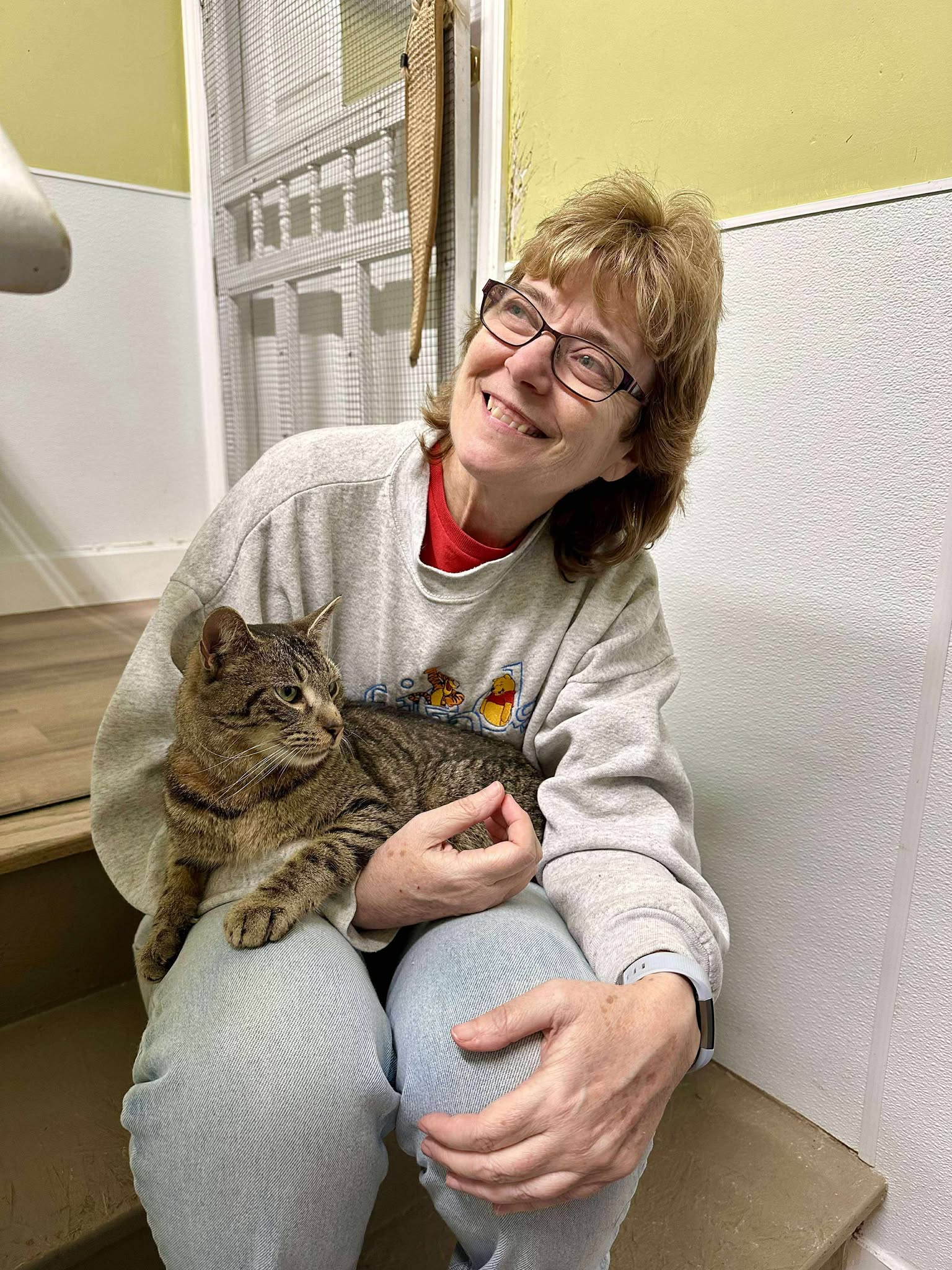 Cat Rescue Volunteer Cat Rescue Volunteer