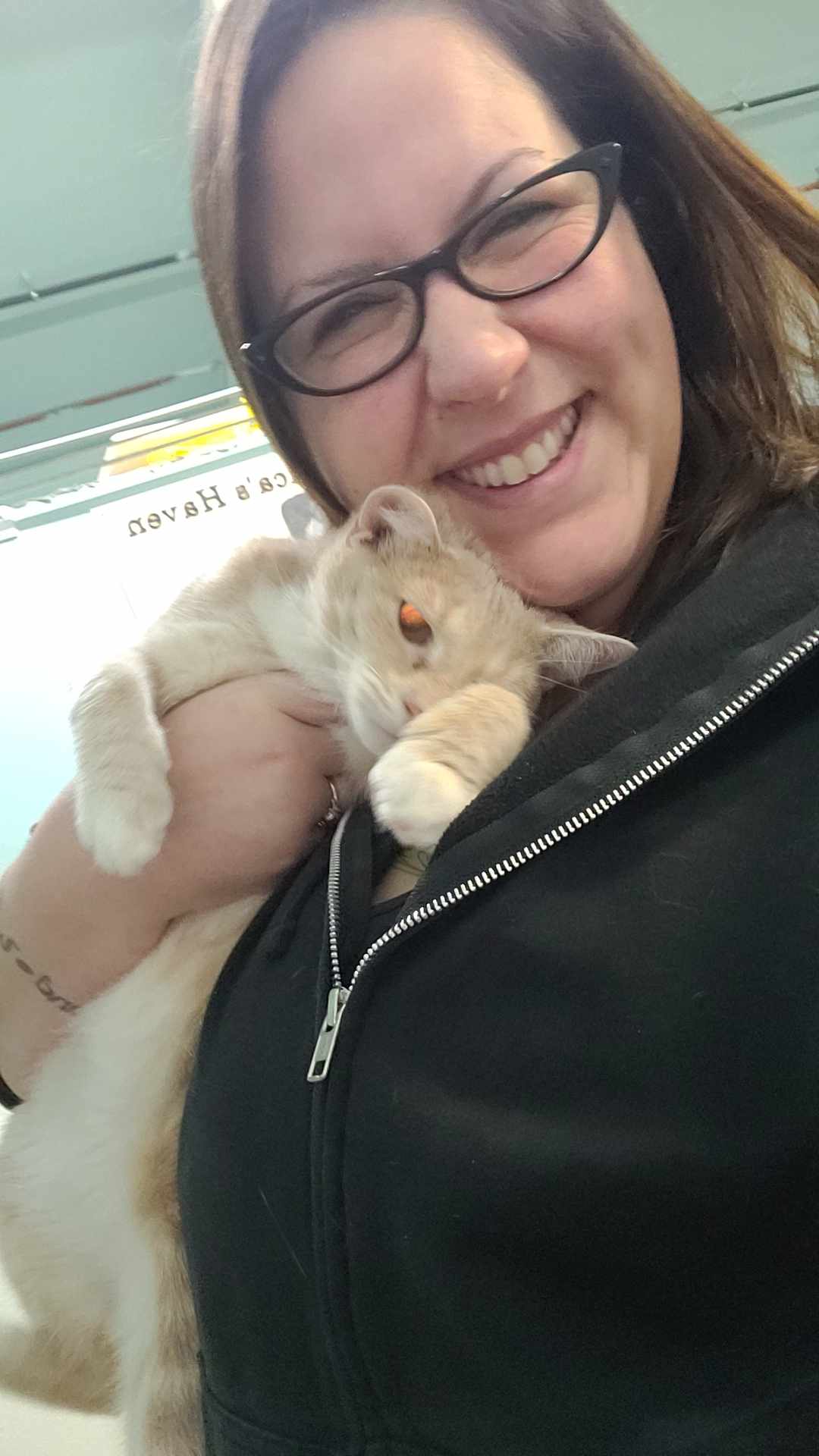 Cat Rescue Volunteer Cat Rescue Volunteer