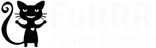 FuRRR Feline Rescue - Adopt Cats & Kittens NH
