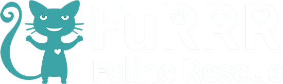 FuRRR Feline Rescue - Adopt Cats & Kittens NH