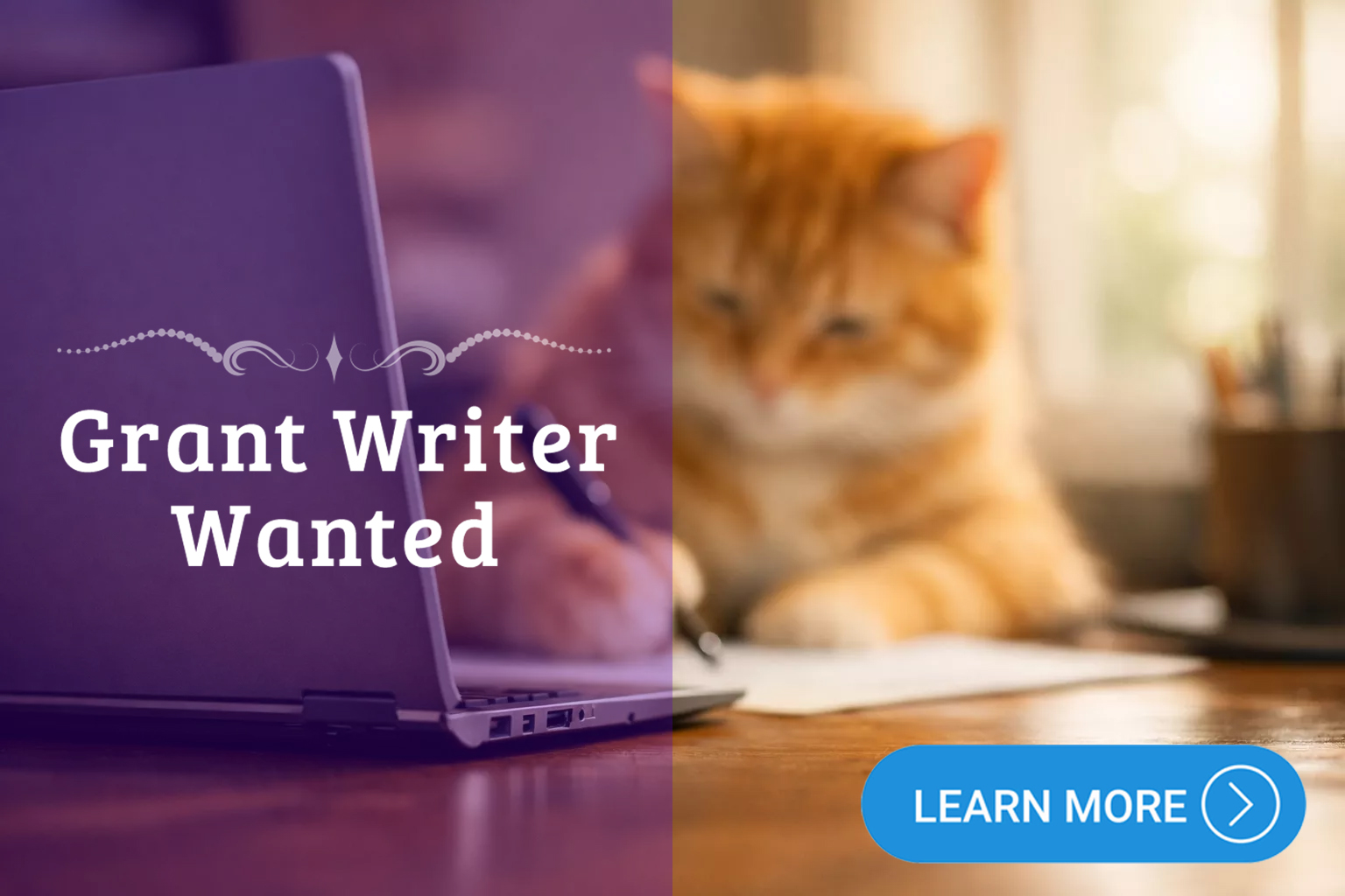 Grant Writer Wanted